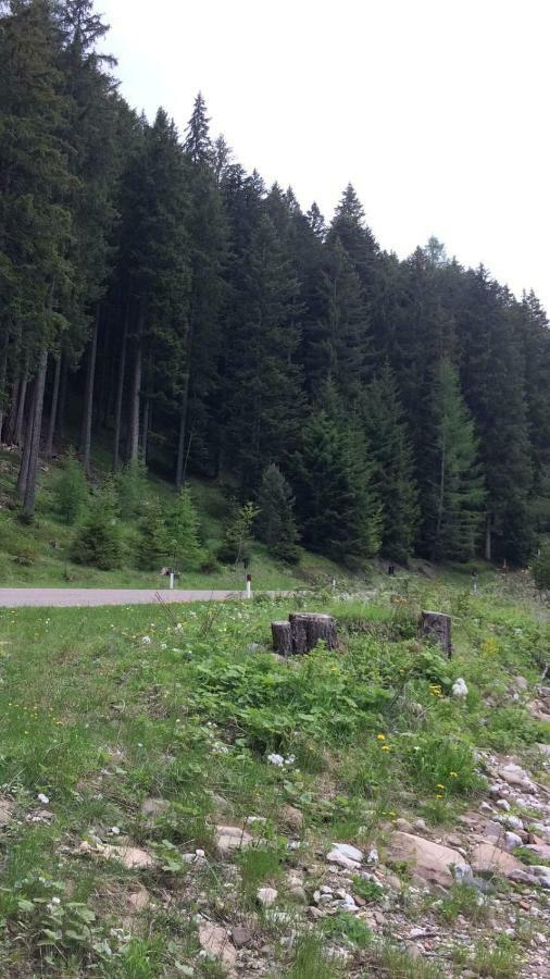 Casa A Pie Di Pista Daire Tesero Dış mekan fotoğraf