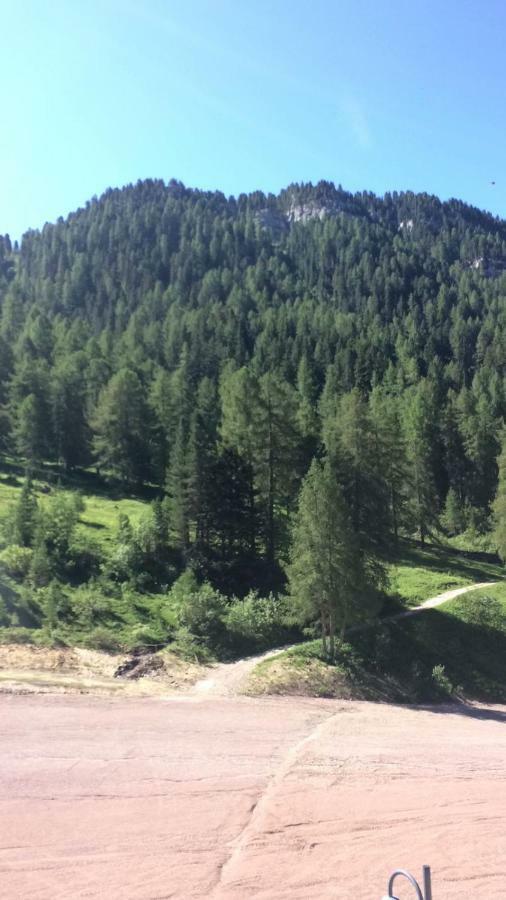Casa A Pie Di Pista Daire Tesero Dış mekan fotoğraf